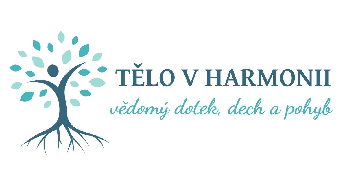 LogoStudio